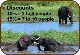 Discount tours and safaris