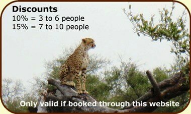 Discount safaris South Africa