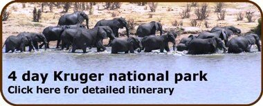 Kruger national park tours and safaris